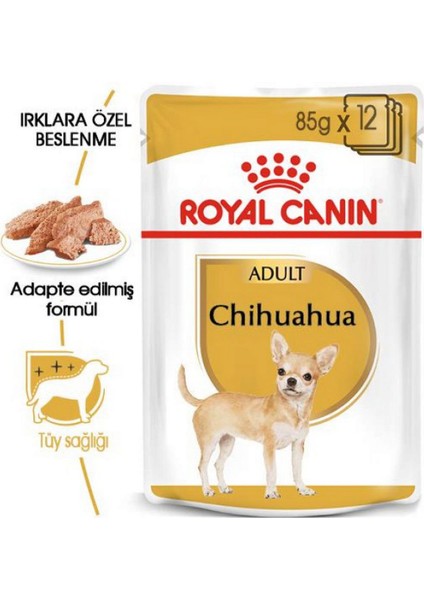 6 Adet Bhn Chihuahua 85 gr