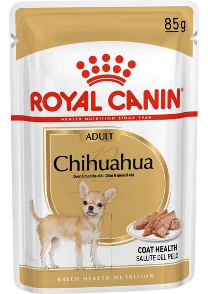 6 Adet Bhn Chihuahua 85 gr