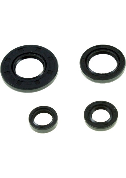 Yamaha Ybr 125 Keçe Takımı