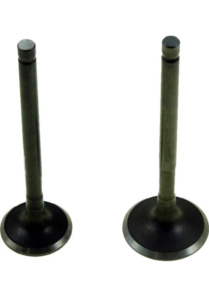 Honda Activa 100 Subap Takımı