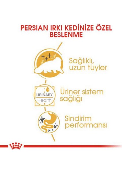 Fbn Persıan 85 gr