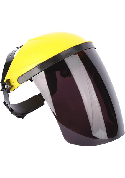 Parlamaya Karşı Koruyucu Maske (Yurt Dışından)