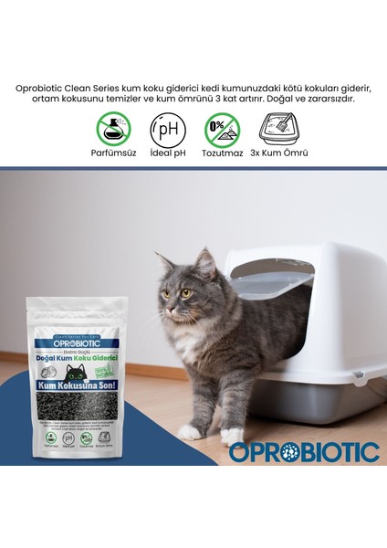 2 Adet Clean Doğal Kedi Kum Koku Giderisici 2X240GR