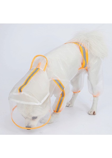 Evcil Hayvan Yağmurluğu (Yurt Dışından) fırsatları