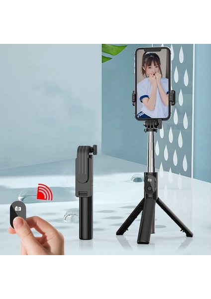 Çok Işlevli Canlı Standı, Spesifik: P20H-1 102CM (Yurt Dışından)