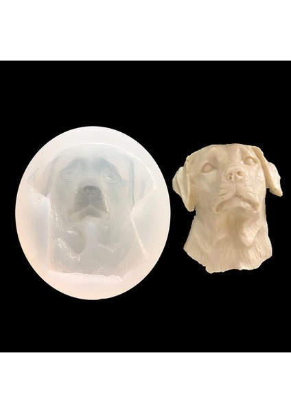 4 Sevimli Hayvan Modeli (Yurt Dışından) fırsatları