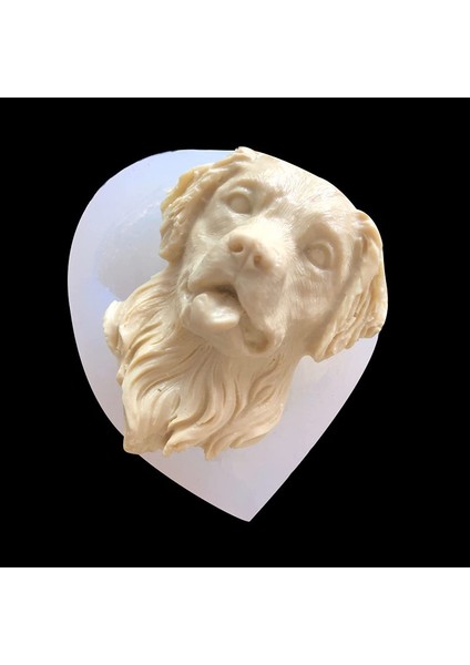 4 Sevimli Hayvan Modeli (Yurt Dışından) indirimleri