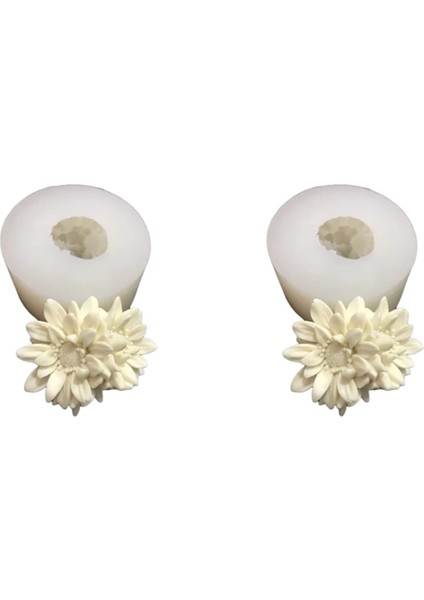 2 Sanhua Silikon Kalıp (Yurt Dışından)