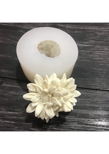 2 Sanhua Silikon Kalıp (Yurt Dışından) modelleri