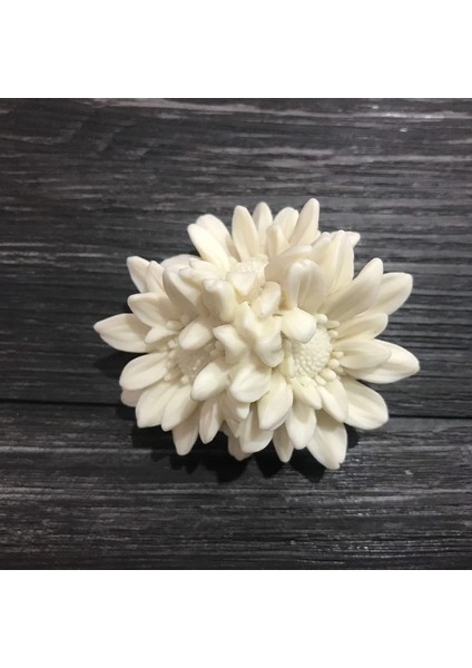 2 Sanhua Silikon Kalıp (Yurt Dışından) fırsatları