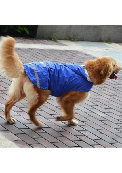 Mackintosh Double Pet Mavi-3xl (Yurt Dışından) fırsatları