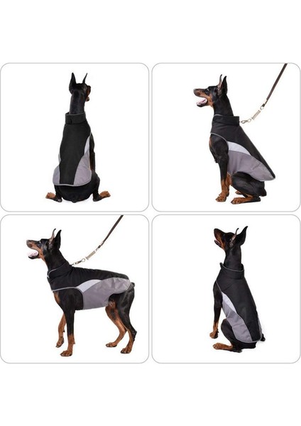 Sonbahar ve Kış Köpek Palto Siyah-Xs (Yurt Dışından) fırsatları