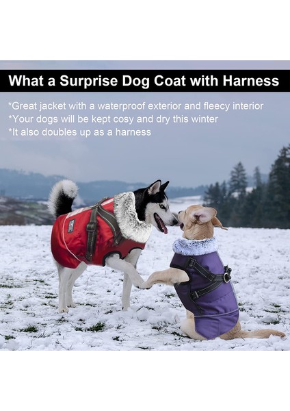 Dog Isıtıcı Siyah-L (Yurt Dışından) fırsatları