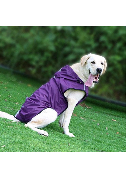 Köpek Mor Yağmurluk S (Yurt Dışından) modelleri
