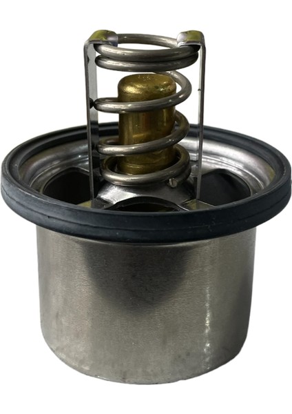 Daf Termostat 75 Derece (Yazlık) modelleri