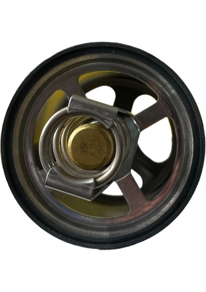 Daf Termostat 75 Derece (Yazlık) fırsatları