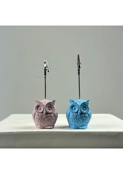 Baykuş Not Tutucu 2'li Set Pembe - Açık Mavi