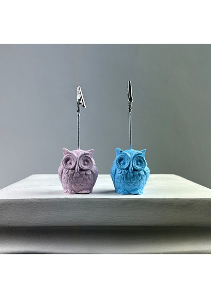 Baykuş Not Tutucu 2'li Set Pembe - Açık Mavi fiyatları