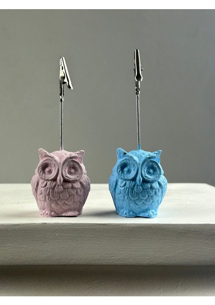 Baykuş Not Tutucu 2'li Set Pembe - Açık Mavi modelleri