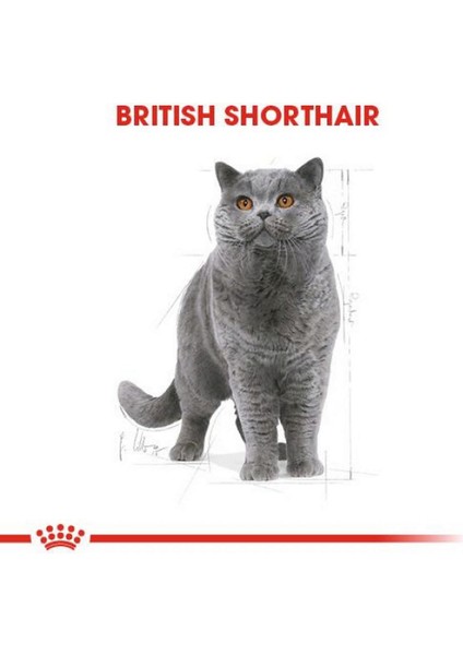 British Shorthair Yetişkin Kedi Maması - 10 kg fiyatları
