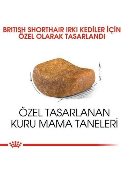 British Shorthair Yetişkin Kedi Maması - 10 kg modelleri