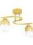 Plafonyer Modern S Model Gold Avize 1