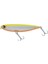 Japanese Snake Su Üstü Maket Balık HG2601 1