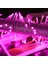 Pink Colors LED Light 10 Metre Pembe LED Işık Pembe Ip LED Işık Pembe Kablo Işık 220V Fişli Pembe Işık 2