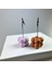 Bubble Not Tutucu 2'li Set ( Terracota - Pembe ) 2