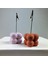 Bubble Not Tutucu 2'li Set ( Pembe - Meşe ) 2