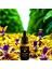 Ylang Ylang Yağı 50 ml 2