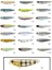 Zipbaits Fakie Dog 90MM Wdt Su Üstü 12GR Maket Balık Balıkmarketim 2