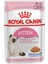 Kitten Pouch Jelly 85 gr x 12 Adet 1