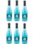 Blueberry Cam Şişe 330 ml 6 Adet 1