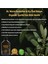 Avantaj Paketi -(3 x 500 Ml) Special Black Dıamond + Sonbahar & Kış + Yaprak Koruyucu 10