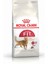 Fit 32 Kedi Maması - 2 kg 1