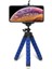 Selfi Tripod 18CM Selfe Flexi Pod 18CM Mavi 1