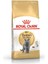 British Shorthair Yetişkin Kedi Maması - 10 kg 1