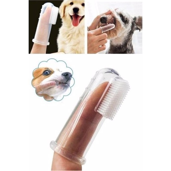 Dream Plus Kedi ve Köpek Parmak Diş Fırçası Saklama Kutulu Kolay Kullanımlı Evcil Hayvan Diş Bakım Fırçası
