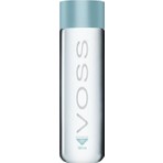 Voss Pet Water 500 ml