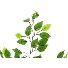 Dekorsende Yapay Ficus Benjamin Ağaç Dalı Parlak