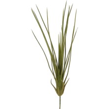 Yapay Aloevera Küçük