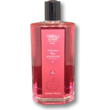 Köylüm Gurme Tarihi Amasya Elma Kolonyası 200 ml