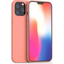 Polhammobile Polham Apple iPhone 12, 12 Pro Lansman Kılıfı, Içi Kadife Dışı Silikon Apple Lansman Kılıfı