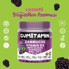 Gumitamin Sambucus Multivitamin Karamürver, Vitamin C+D3, Çinko, Beta Glukan Doğal Böğürtlen Aromalı