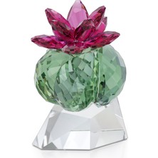 5426978 Swarovski Ev Dekorasyonu Crystal Flowers:bordeaux Cactus