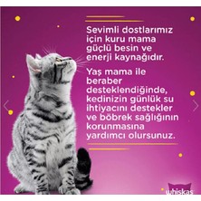 Whiskas Pouch Sos Içinde Sığır Etli Yetişkin Kedi Konservesi 85 gr