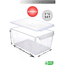 Aes Home Maxi-Midi-Mini - Buzdolabı Içi Düzenleyici-Organizer Kapaklı  Büyük -Orta -Küçük Boy Şeffaf (Kapaklı)