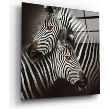 Acres Zebra Kare Cam Tablo