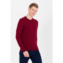 U.S. Polo Assn. Erkek Bordo Triko Kazak 50251887-VR014